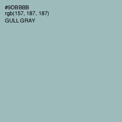 #9DBBBB - Gull Gray Color Image