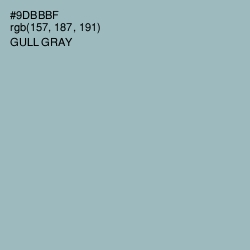 #9DBBBF - Gull Gray Color Image