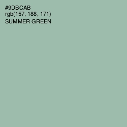 #9DBCAB - Summer Green Color Image