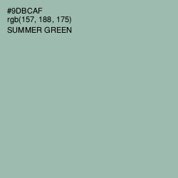 #9DBCAF - Summer Green Color Image