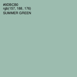 #9DBCB0 - Summer Green Color Image