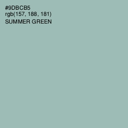 #9DBCB5 - Summer Green Color Image