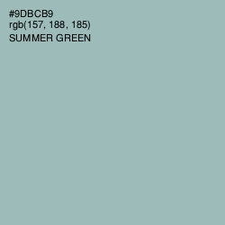#9DBCB9 - Summer Green Color Image