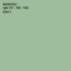 #9DBD9C - Envy Color Image