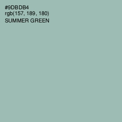 #9DBDB4 - Summer Green Color Image