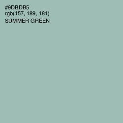 #9DBDB5 - Summer Green Color Image