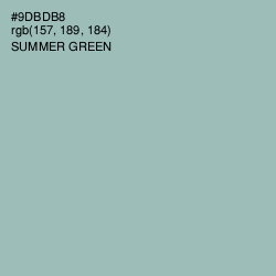 #9DBDB8 - Summer Green Color Image