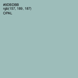 #9DBDBB - Gull Gray Color Image