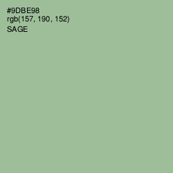 #9DBE98 - Sage Color Image