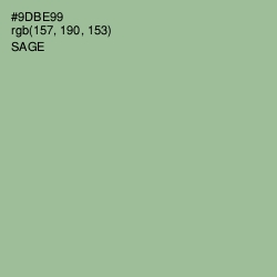 #9DBE99 - Sage Color Image