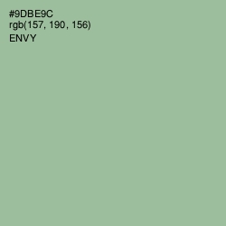 #9DBE9C - Envy Color Image