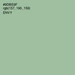 #9DBE9F - Envy Color Image
