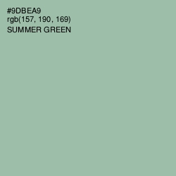 #9DBEA9 - Summer Green Color Image