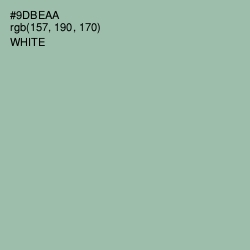 #9DBEAA - Summer Green Color Image