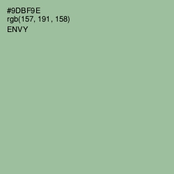 #9DBF9E - Envy Color Image