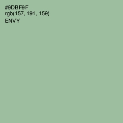 #9DBF9F - Envy Color Image