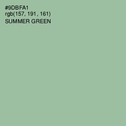 #9DBFA1 - Summer Green Color Image