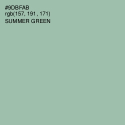 #9DBFAB - Summer Green Color Image