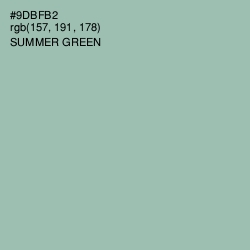 #9DBFB2 - Summer Green Color Image