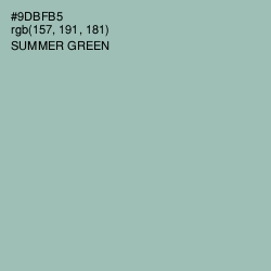 #9DBFB5 - Summer Green Color Image