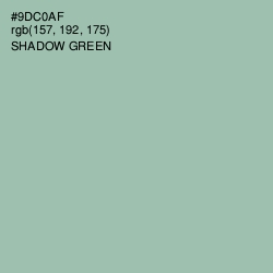 #9DC0AF - Shadow Green Color Image