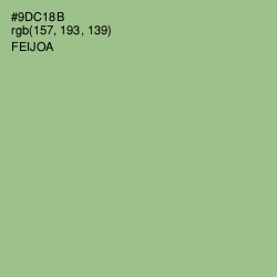 #9DC18B - Feijoa Color Image