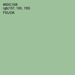 #9DC19B - Feijoa Color Image