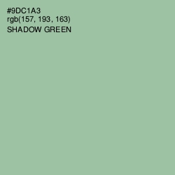 #9DC1A3 - Shadow Green Color Image