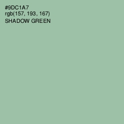 #9DC1A7 - Shadow Green Color Image