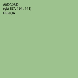 #9DC28D - Feijoa Color Image