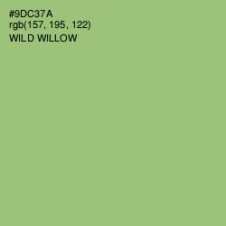 #9DC37A - Wild Willow Color Image