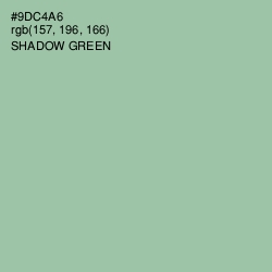 #9DC4A6 - Shadow Green Color Image