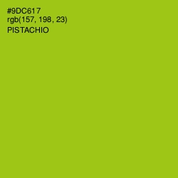 #9DC617 - Pistachio Color Image