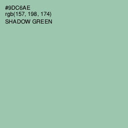 #9DC6AE - Shadow Green Color Image