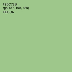 #9DC78B - Feijoa Color Image