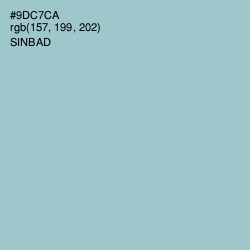 #9DC7CA - Sinbad Color Image