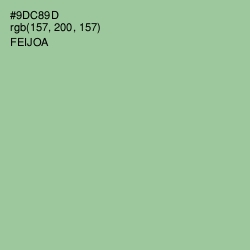 #9DC89D - Feijoa Color Image