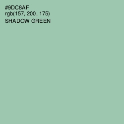 #9DC8AF - Shadow Green Color Image