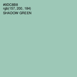 #9DC8B8 - Shadow Green Color Image