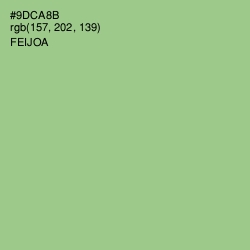 #9DCA8B - Feijoa Color Image
