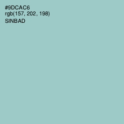 #9DCAC6 - Sinbad Color Image