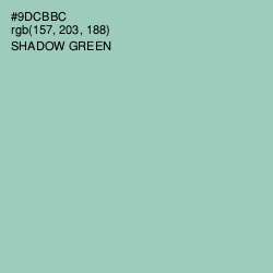 #9DCBBC - Shadow Green Color Image