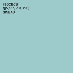 #9DCBCB - Sinbad Color Image