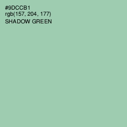#9DCCB1 - Shadow Green Color Image