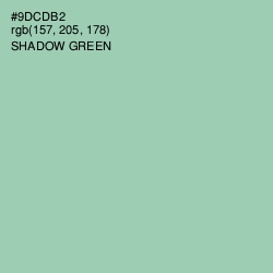 #9DCDB2 - Shadow Green Color Image