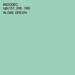 #9DD0BC - Algae Green Color Image