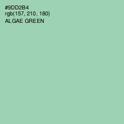 #9DD2B4 - Algae Green Color Image