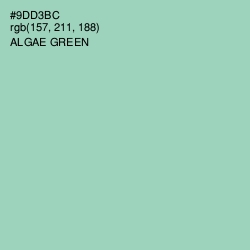 #9DD3BC - Algae Green Color Image