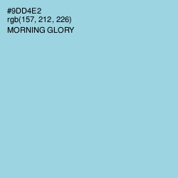 #9DD4E2 - Morning Glory Color Image