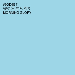 #9DD6E7 - Morning Glory Color Image